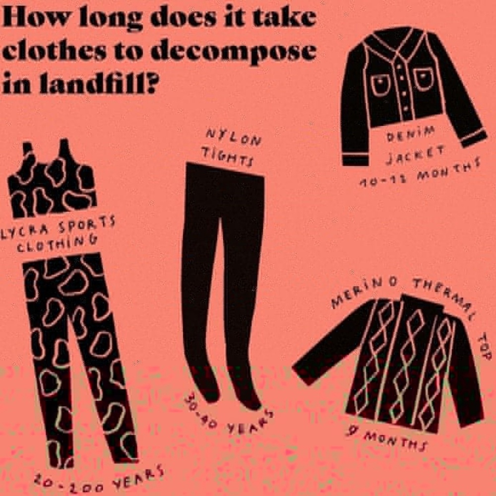 Fast Fashion - Picture 6 of 7